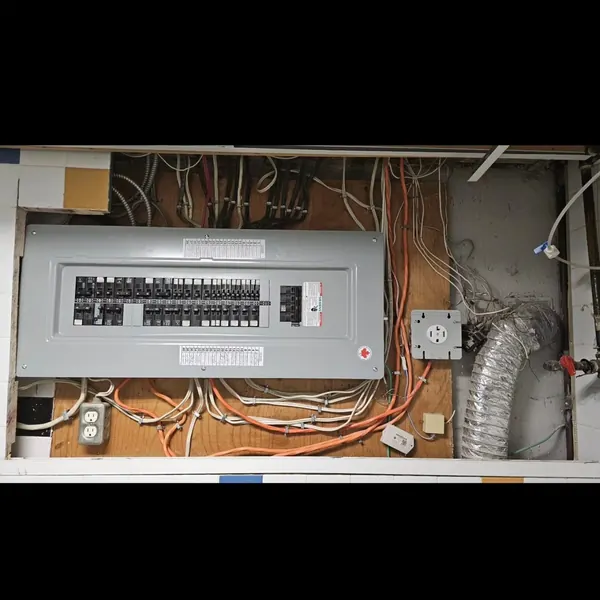 Existing electrical panel and branch wiring